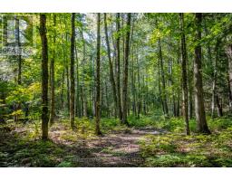 688 Prince Road E, Madawaska Valley, ON K0J2N0 Photo 19