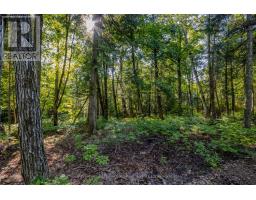 688 Prince Road E, Madawaska Valley, ON K0J2N0 Photo 20
