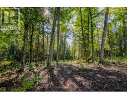 688 Prince Road E, Madawaska Valley, ON K0J2N0 Photo 21