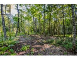 688 Prince Road E, Madawaska Valley, ON K0J2N0 Photo 22