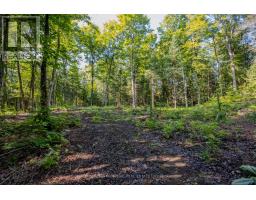 688 Prince Road E, Madawaska Valley, ON K0J2N0 Photo 23