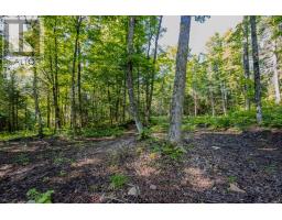 688 Prince Road E, Madawaska Valley, ON K0J2N0 Photo 25