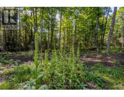 688 Prince Road E, Madawaska Valley, ON K0J2N0 Photo 26