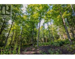 688 Prince Road E, Madawaska Valley, ON K0J2N0 Photo 29