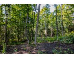 688 Prince Road E, Madawaska Valley, ON K0J2N0 Photo 30