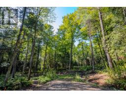 688 Prince Road E, Madawaska Valley, ON K0J2N0 Photo 32