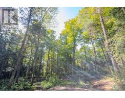 688 Prince Road E, Madawaska Valley, ON K0J2N0 Photo 33