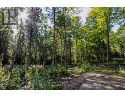 688 Prince Road E, Madawaska Valley, ON K0J2N0 Photo 34