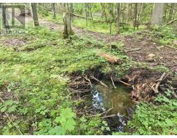 688 Prince Road E, Madawaska Valley, ON K0J2N0 Photo 35