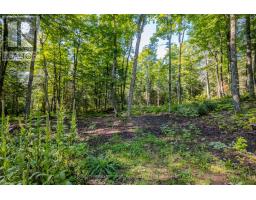 688 Prince Road E, Madawaska Valley, ON K0J2N0 Photo 36