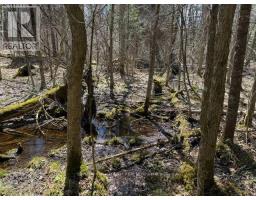 688 Prince Road E, Madawaska Valley, ON K0J2N0 Photo 38