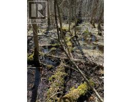 688 Prince Road E, Madawaska Valley, ON K0J2N0 Photo 39