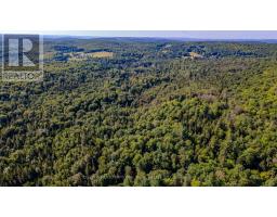 688 Prince Road E, Madawaska Valley, ON K0J2N0 Photo 41