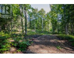 688 Prince Road E, Madawaska Valley, ON K0J2N0 Photo 42