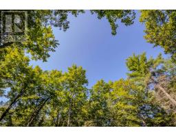 688 Prince Road E, Madawaska Valley, ON K0J2N0 Photo 43