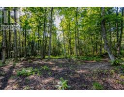 688 Prince Road E, Madawaska Valley, ON K0J2N0 Photo 44