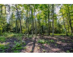 688 Prince Road E, Madawaska Valley, ON K0J2N0 Photo 45
