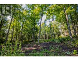 688 Prince Road E, Madawaska Valley, ON K0J2N0 Photo 46