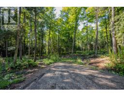 688 Prince Road E, Madawaska Valley, ON K0J2N0 Photo 47