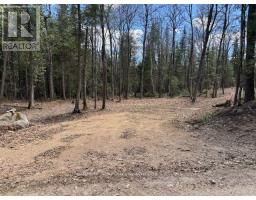 688 Prince Road E, Madawaska Valley, ON K0J2N0 Photo 48