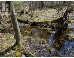 688 Prince Road E, Madawaska Valley, ON K0J2N0 Photo 49