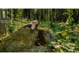 688 Prince Road E, Madawaska Valley, ON K0J2N0 Photo 6