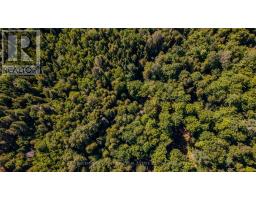 688 Prince Road E, Madawaska Valley, ON K0J2N0 Photo 7