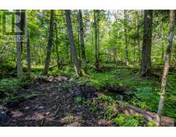 688 Prince Road E, Madawaska Valley, ON K0J2N0 Photo 8