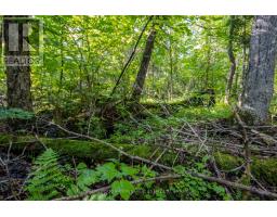688 Prince Road E, Madawaska Valley, ON K0J2N0 Photo 9