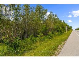 Part 2 Pt Lt 46 Highway 6, Northern Bruce Peninsula, ON N0H2R0 Photo 11