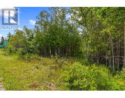 Part 2 Pt Lt 46 Highway 6, Northern Bruce Peninsula, ON N0H2R0 Photo 12