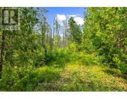 Part 2 Pt Lt 46 Highway 6, Northern Bruce Peninsula, ON N0H2R0 Photo 17