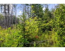 Part 2 Pt Lt 46 Highway 6, Northern Bruce Peninsula, ON N0H2R0 Photo 18