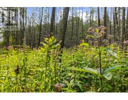 Part 2 Pt Lt 46 Highway 6, Northern Bruce Peninsula, ON N0H2R0 Photo 20