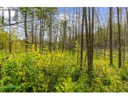 Part 2 Pt Lt 46 Highway 6, Northern Bruce Peninsula, ON N0H2R0 Photo 21