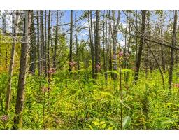 Part 2 Pt Lt 46 Highway 6, Northern Bruce Peninsula, ON N0H2R0 Photo 22