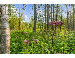 Part 2 Pt Lt 46 Highway 6, Northern Bruce Peninsula, ON N0H2R0 Photo 23