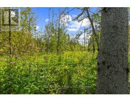 Part 2 Pt Lt 46 Highway 6, Northern Bruce Peninsula, ON N0H2R0 Photo 24