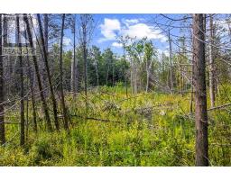 Part 2 Pt Lt 46 Highway 6, Northern Bruce Peninsula, ON N0H2R0 Photo 25