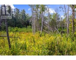 Part 2 Pt Lt 46 Highway 6, Northern Bruce Peninsula, ON N0H2R0 Photo 26