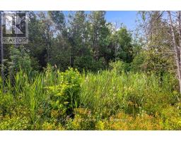 Part 2 Pt Lt 46 Highway 6, Northern Bruce Peninsula, ON N0H2R0 Photo 27