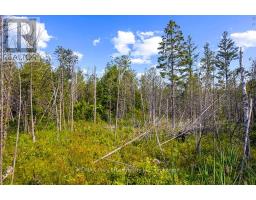Part 2 Pt Lt 46 Highway 6, Northern Bruce Peninsula, ON N0H2R0 Photo 28