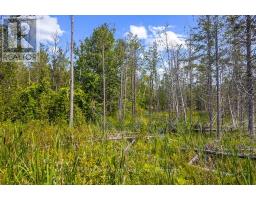Part 2 Pt Lt 46 Highway 6, Northern Bruce Peninsula, ON N0H2R0 Photo 29