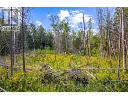 Part 2 Pt Lt 46 Highway 6, Northern Bruce Peninsula, ON N0H2R0 Photo 30
