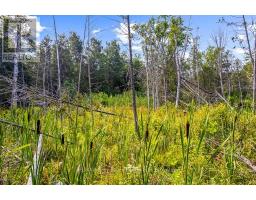 Part 2 Pt Lt 46 Highway 6, Northern Bruce Peninsula, ON N0H2R0 Photo 31