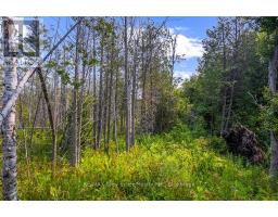 Part 2 Pt Lt 46 Highway 6, Northern Bruce Peninsula, ON N0H2R0 Photo 32