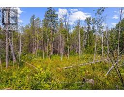 Part 2 Pt Lt 46 Highway 6, Northern Bruce Peninsula, ON N0H2R0 Photo 33