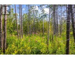 Part 2 Pt Lt 46 Highway 6, Northern Bruce Peninsula, ON N0H2R0 Photo 34