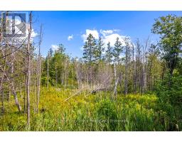 Part 2 Pt Lt 46 Highway 6, Northern Bruce Peninsula, ON N0H2R0 Photo 35