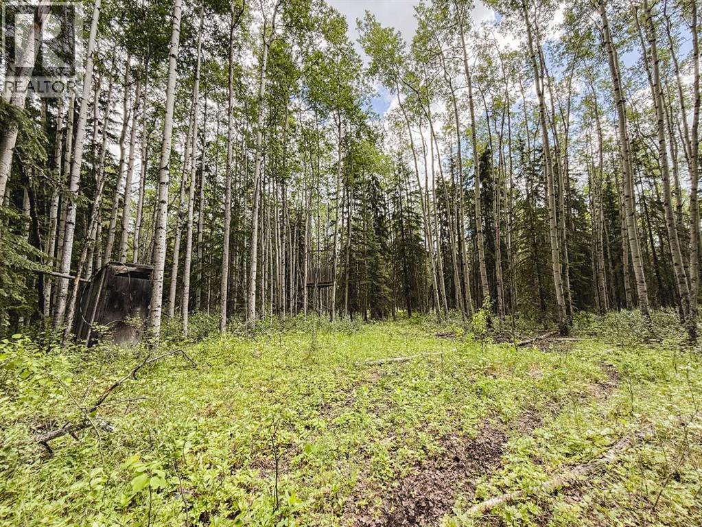 10504 794 Township - Image 33